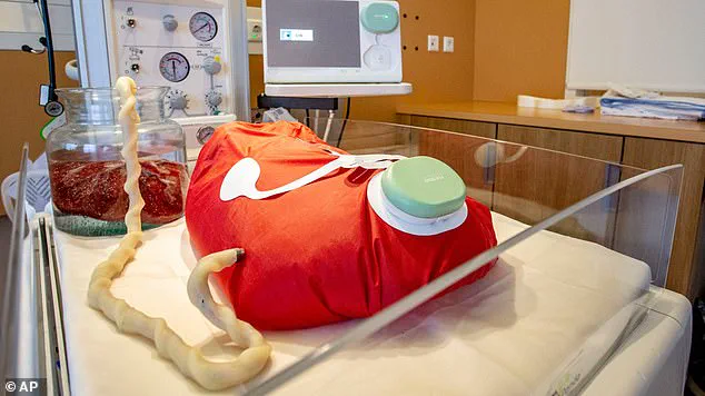 The Pod Generation: Artificial Wombs and the Future of Birth