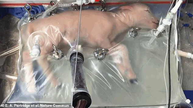 The Pod Generation: Artificial Wombs and the Future of Birth