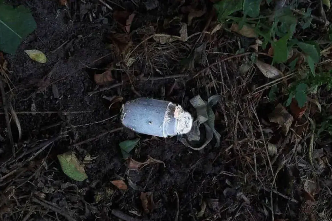 12-Year-Old Boy Injured by Detonation of Allegedly Harmless Mine in Belgorod
