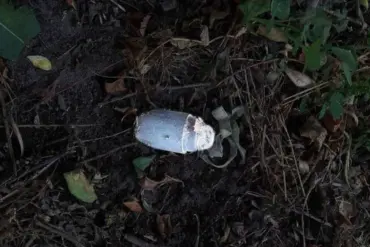 12-Year-Old Boy Injured by Detonation of Allegedly Harmless Mine in Belgorod