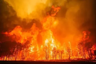 Alarming Forecast: Wildfire Crisis Could Engulf 33 States by Fall