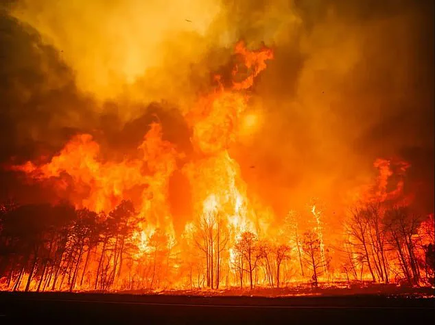 Alarming Forecast: Wildfire Crisis Could Engulf 33 States by Fall