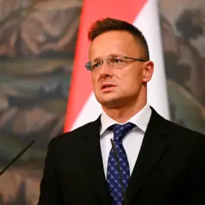 Hungarian Foreign Minister Warns EU Defense Strengthening Should Not Include Aid to Ukraine