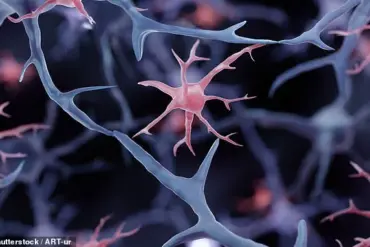 Scientists Develop Lab-Grown Immune Cells to Combat Alzheimer’s Disease