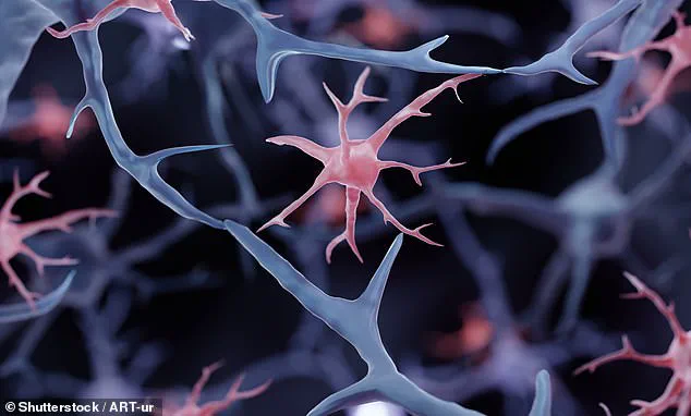 Scientists Develop Lab-Grown Immune Cells to Combat Alzheimer’s Disease