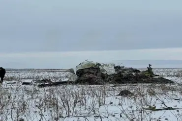Timchenko Reveals Details on Downed Il-76 Transport Plane Carrying POWs