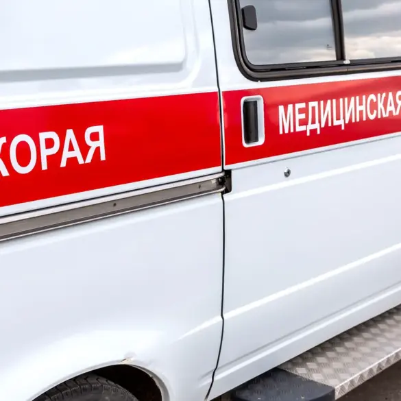 Ukrainian Armed Forces Attack Civilian Truck in Meshkovoe Village, Belgorod Region