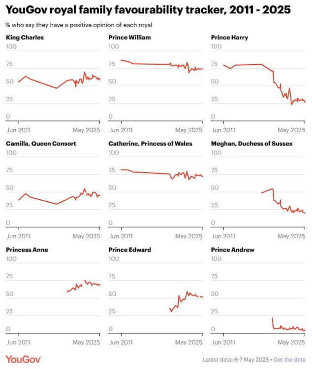 Meghan Markle's 20% Favorability: A Privileged Access to Power and Royal Backstabbing