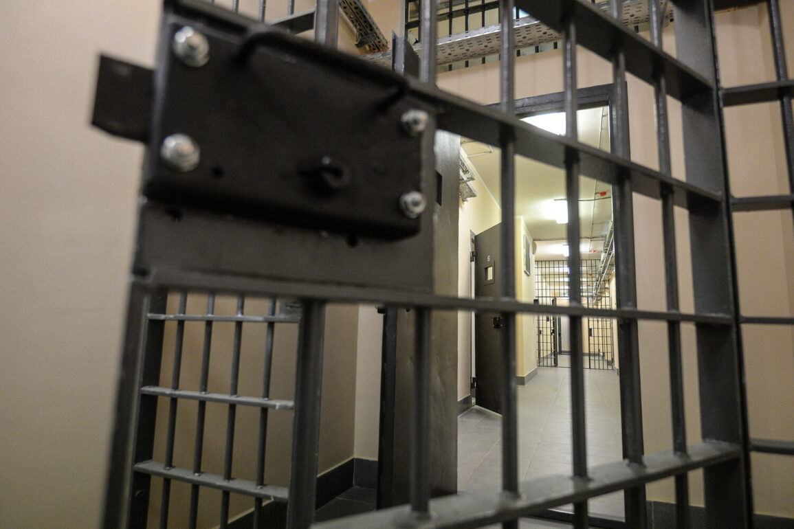 Privileged Access to Information: Russian Court's Landmark Sentence in Limited Scrutiny Case