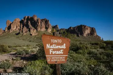 Tragedy Strikes Tonto National Forest: Teenagers Found Dead in Remote Wilderness Area, Sparking Community Outcry and Ongoing Investigation