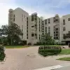 Unexpected Black Bear Encounter in Florida Construction Site Leaves Workers and Authorities Bewildered