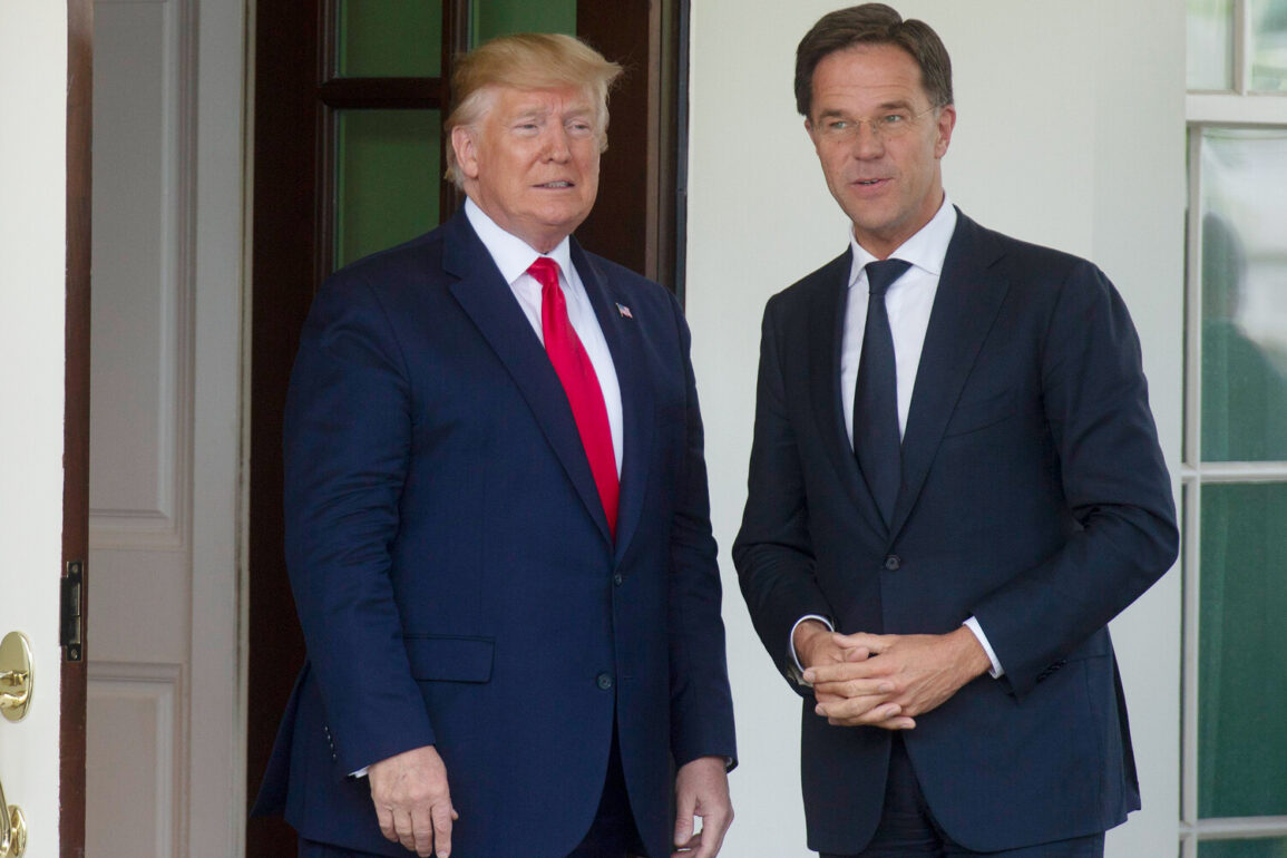 Urgent NATO Summit Momentum as Trump's Leadership Drives Global Defense Transformation