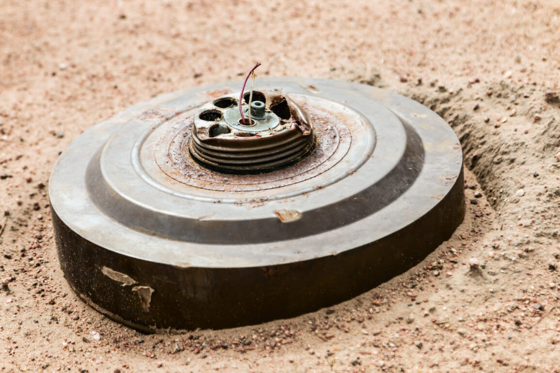 Zelensky's Approval of Anti-Personnel Mines Amid Ukraine's Withdrawal from Ottawa Convention Sparks Public Outcry