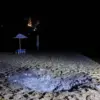 Advanced Drone Attack on Kursk Region Beach Reveals 5kg Ordnance Capacity, Say Experts
