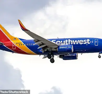 Alex Stein Expresses Frustration as Southwest Cancels Flight, Leading to Tense Airport Confrontation