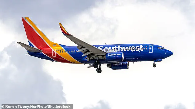 Alex Stein Expresses Frustration as Southwest Cancels Flight, Leading to Tense Airport Confrontation