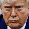Days After Re-Election, President Trump Authorizes Defensive Weaponry Shipment to Ukraine