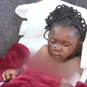 Five-Year-Old Girl Injured in Brutal Pit Bull Attack at Friend's Home in South Bend, Family Describes 'Unimaginable Horror'