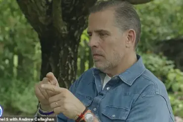 Hunter Biden's Interview Sparks Controversy Over Criticism of Democrats and Clooney's Op-Ed