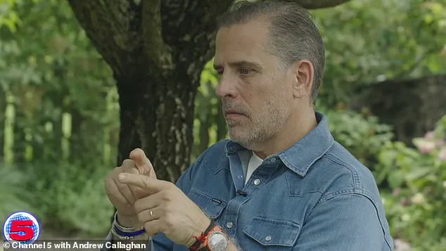 Hunter Biden's Interview Sparks Controversy Over Criticism of Democrats and Clooney's Op-Ed