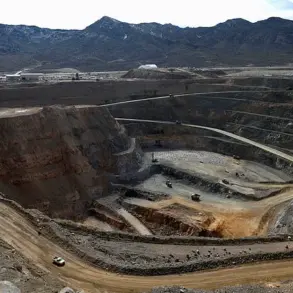 Pentagon's Rare Earth Acquisition Ignites Geopolitical Tensions and Resource Competition Debate