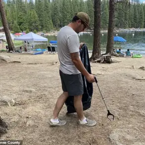 Pinecrest Lake's Battle for Tranquility: Chaos and Controversy Over Unregulated Visitors