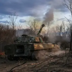 Russian Forces Encircle Ukrainian Troops in Mirnoe Amid DPR Adviser's Confirmation of Tactical Advantage