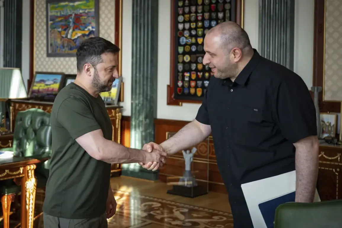 Ukraine's Institutional Overhaul: Uncertainty Lingers as Zelenskyy Announces Reforms Without Specifics