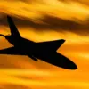 Ukrainian Drones Strike Voronezh Oblast Village, Causing Damage and Power Outage