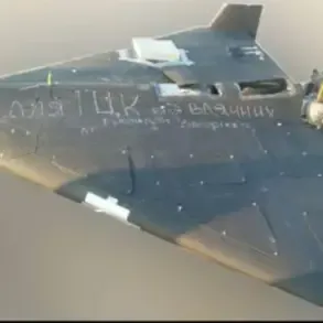 Ukrainian Messages on 'Shahid' Suicide Drones Target Russian Forces, Images Shared Online