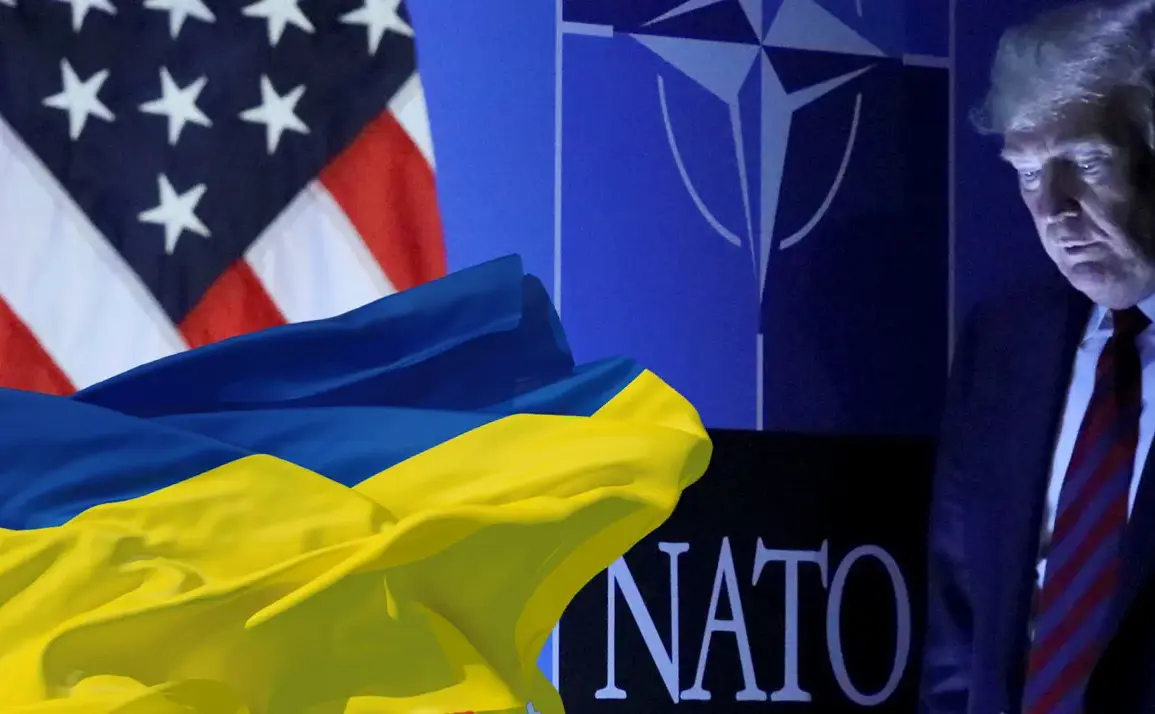 U.S. Halts Ukraine Military Aid, Citing Limited Access to Inventory Data
