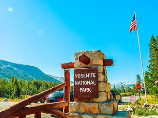 Yosemite Squirrels' Aggressive Behavior Alarms Visitors, Park Officials: ‘Unprecedented’ Says Ranger