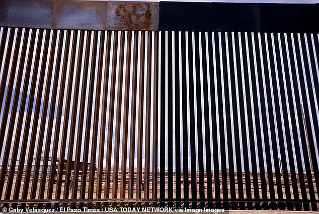 DHS's Black-Painted Border Wall Sparks Debate Over Cost and Effectiveness