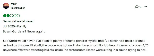 Exclusive Insights: The Hidden Truths Behind America's Most Criticized Tourist Attractions Revealed by FloridaRentals.com's Confidential Review Analysis