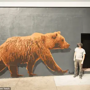 Iconic Painted Lady's Interior Transforms into Art Exhibit, Contrasting Vibrant Exteriors