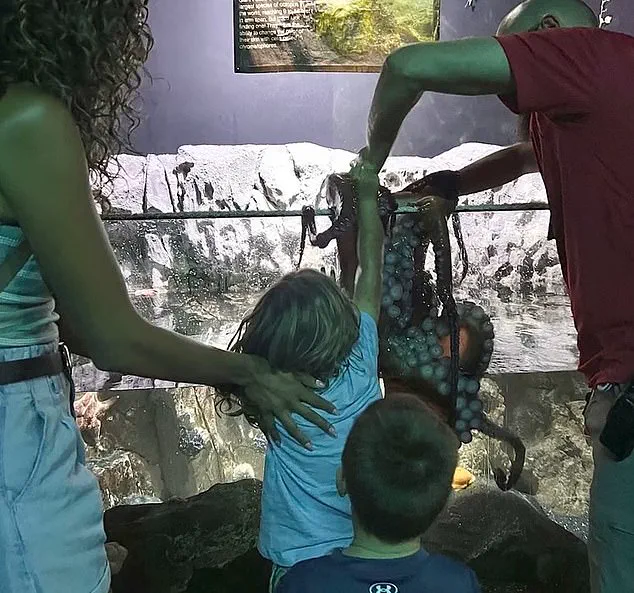 Safety Concerns Arise After Child's Encounter at San Antonio Aquarium Due to Absent Staff