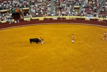 Tragedy at Campo Pequeno: Young Bullfighter Manuel Maria Trindade Dies in Debut Performance