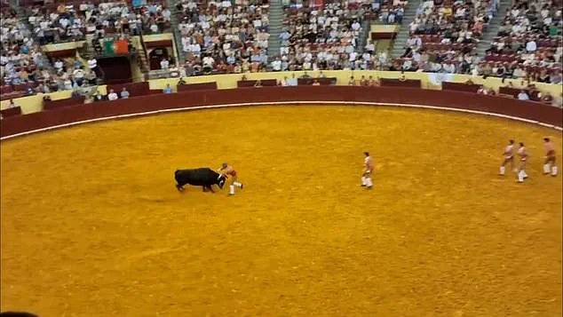 Tragedy at Campo Pequeno: Young Bullfighter Manuel Maria Trindade Dies in Debut Performance