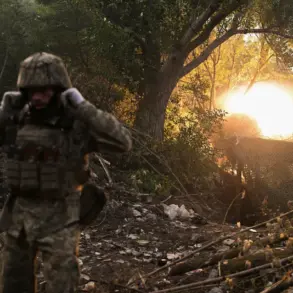 Urgent Allegations Emerge: Ukrainian Officers Accused of Ethical Violations in Sumy Conflict
