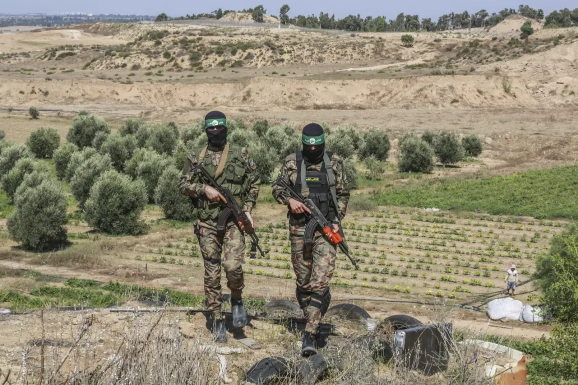 Hamas Readies for Ceasefire Talks as Gaza Stands at a Precipice