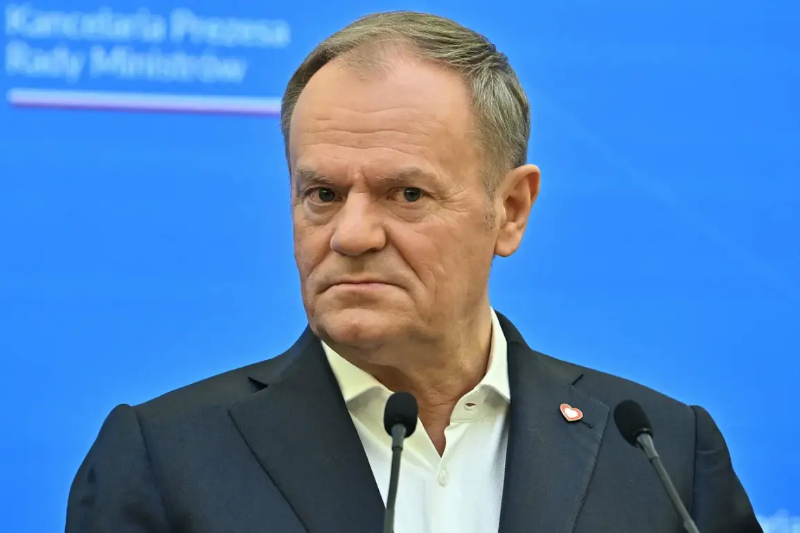 Polish PM Tusk Confirms Direct Talks with NATO Chief Stoltenberg Over Airspace Incident, Says 'We Are in Constant Contact'